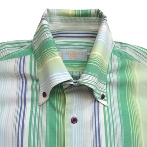 AteSeta Men's Stripes Cotton Long Sleeves Button Down Shirt Green Blue Vibrant